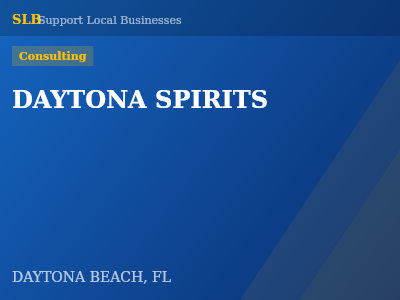 DAYTONA SPIRITS — Consulting in DAYTONA BEACH, FL