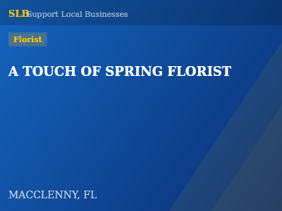 A TOUCH OF SPRING FLORIST — Florist in MACCLENNY, FL