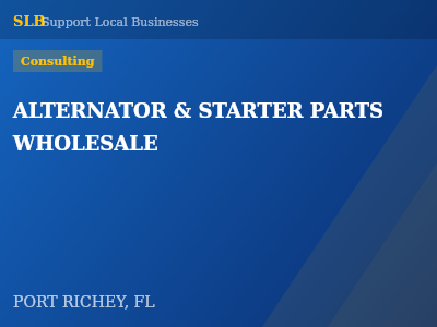 ALTERNATOR & STARTER PARTS WHOLESALE — Consulting in PORT RICHEY, FL