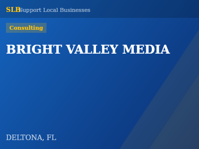 BRIGHT VALLEY MEDIA — Consulting in DELTONA, FL