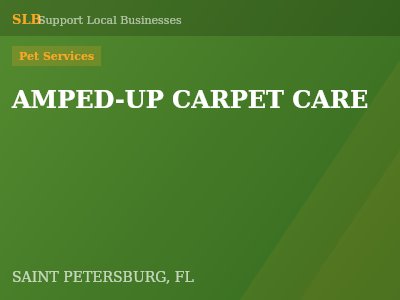 AMPED-UP CARPET CARE — Pet Services in SAINT PETERSBURG, FL
