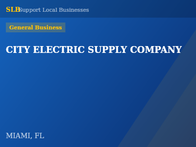 CITY ELECTRIC SUPPLY COMPANY — General Business in MIAMI, FL