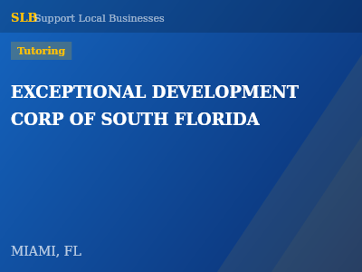 EXCEPTIONAL DEVELOPMENT CORP OF SOUTH FLORIDA — Tutoring in MIAMI, FL