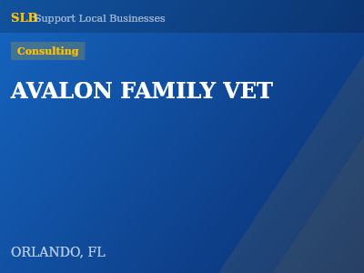 AVALON FAMILY VET — Consulting in ORLANDO, FL