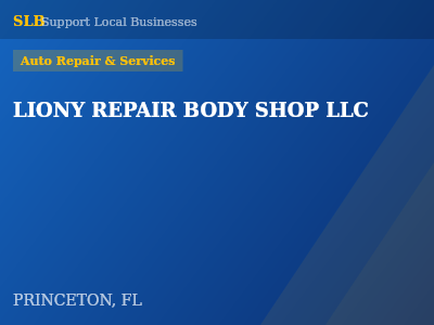 LIONY REPAIR BODY SHOP LLC — Auto Repair & Services in PRINCETON, FL