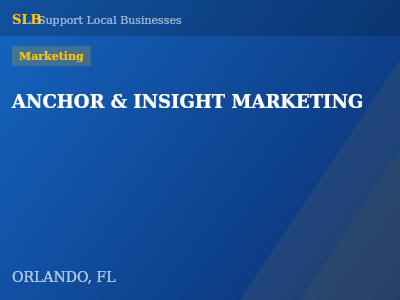 ANCHOR & INSIGHT MARKETING — Marketing in ORLANDO, FL