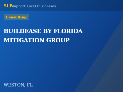BUILDEASE BY FLORIDA MITIGATION GROUP — Consulting in WESTON, FL