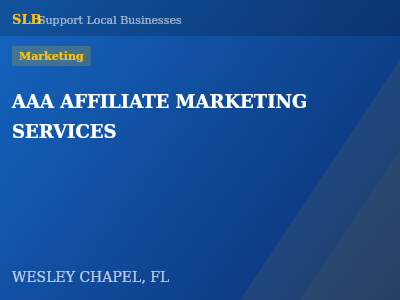 AAA AFFILIATE MARKETING SERVICES — Marketing in WESLEY CHAPEL, FL