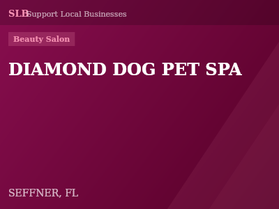DIAMOND DOG PET SPA — Beauty Salon in SEFFNER, FL