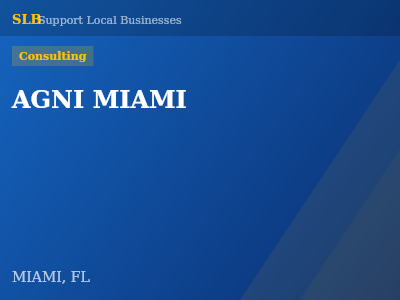 AGNI MIAMI — Consulting in MIAMI, FL