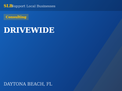 DRIVEWIDE — Consulting in DAYTONA BEACH, FL