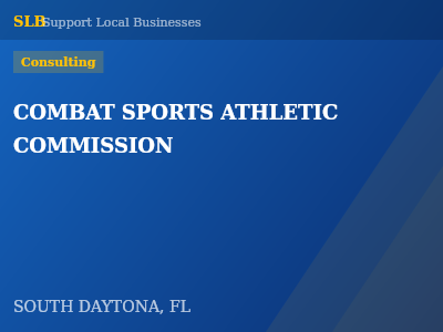 COMBAT SPORTS ATHLETIC COMMISSION — Consulting in SOUTH DAYTONA, FL