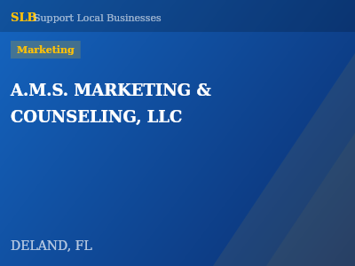 A.M.S. MARKETING & COUNSELING, LLC — Marketing in DELAND, FL