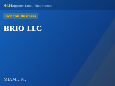 BRIO LLC — General Business in MIAMI, FL