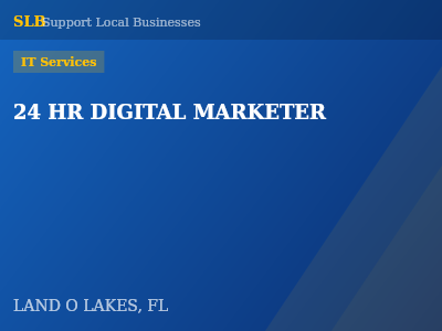 24 HR DIGITAL MARKETER — IT Services in LAND O LAKES, FL