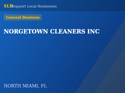 NORGETOWN CLEANERS INC — General Business in NORTH MIAMI, FL