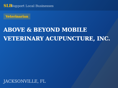 ABOVE & BEYOND MOBILE VETERINARY ACUPUNCTURE, INC. — Veterinarian in JACKSONVILLE, FL
