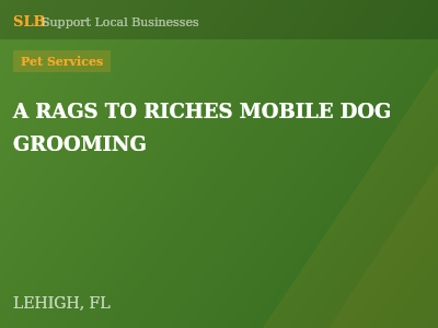 A RAGS TO RICHES MOBILE DOG GROOMING — Pet Services in LEHIGH, FL