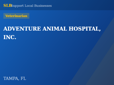 ADVENTURE ANIMAL HOSPITAL, INC. — Veterinarian in TAMPA, FL