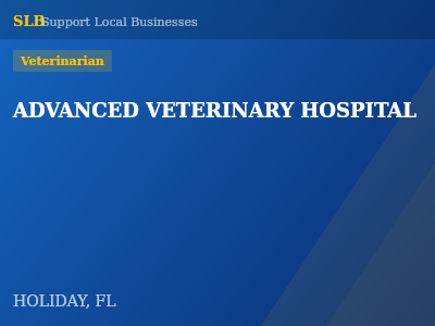 ADVANCED VETERINARY HOSPITAL — Veterinarian in HOLIDAY, FL