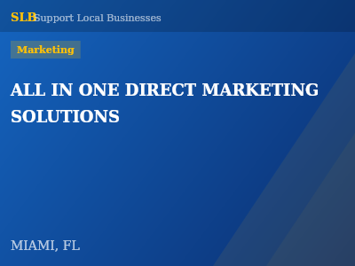 ALL IN ONE DIRECT MARKETING SOLUTIONS — Marketing in MIAMI, FL