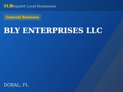 BLY ENTERPRISES LLC — General Business in DORAL, FL