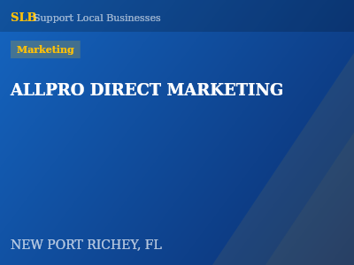 ALLPRO DIRECT MARKETING — Marketing in NEW PORT RICHEY, FL