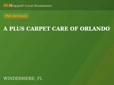 A PLUS CARPET CARE OF ORLANDO — Pet Services in WINDERMERE, FL