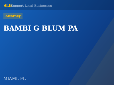 BAMBI G BLUM PA — Attorney in MIAMI, FL