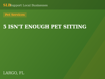 5 ISN'T ENOUGH PET SITTING — Pet Services in LARGO, FL