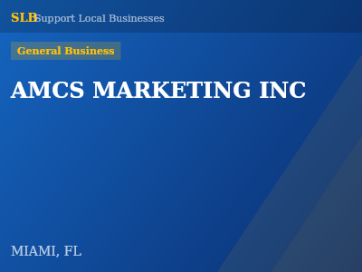 AMCS MARKETING INC — General Business in MIAMI, FL
