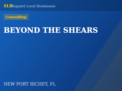 BEYOND THE SHEARS — Consulting in NEW PORT RICHEY, FL
