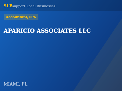APARICIO ASSOCIATES LLC — Accountant/CPA in MIAMI, FL