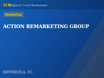 ACTION REMARKETING GROUP — Marketing in MINNEOLA, FL