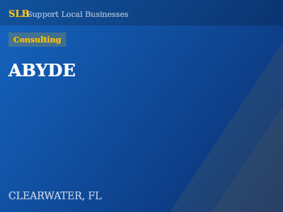 ABYDE — Consulting in CLEARWATER, FL