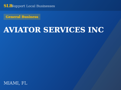AVIATOR SERVICES INC — General Business in MIAMI, FL