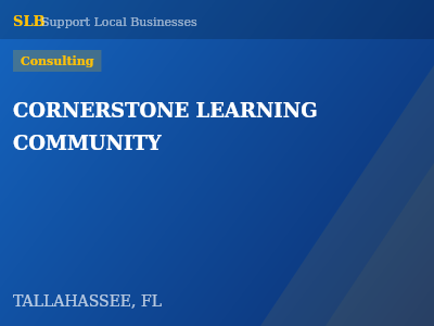 CORNERSTONE LEARNING COMMUNITY — Consulting in TALLAHASSEE, FL