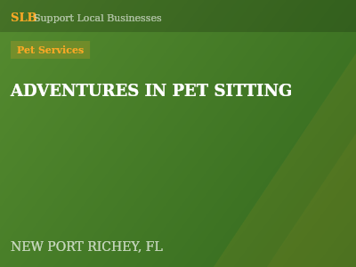 ADVENTURES IN PET SITTING — Pet Services in NEW PORT RICHEY, FL