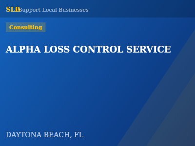 ALPHA LOSS CONTROL SERVICE — Consulting in DAYTONA BEACH, FL