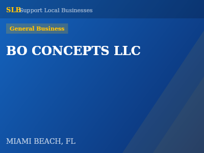 BO CONCEPTS LLC — General Business in MIAMI BEACH, FL