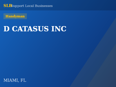 D CATASUS INC — Handyman in MIAMI, FL
