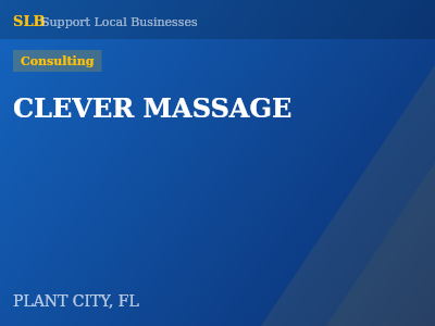 CLEVER MASSAGE — Consulting in PLANT CITY, FL