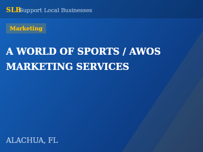 A WORLD OF SPORTS / AWOS MARKETING SERVICES — Marketing in ALACHUA, FL