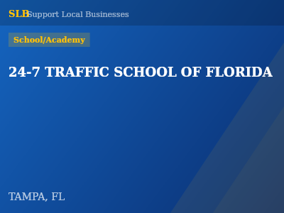 24-7 TRAFFIC SCHOOL OF FLORIDA — School/Academy in TAMPA, FL