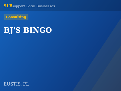 BJ'S BINGO — Consulting in EUSTIS, FL