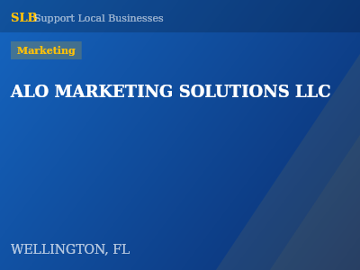 ALO MARKETING SOLUTIONS LLC — Marketing in WELLINGTON, FL