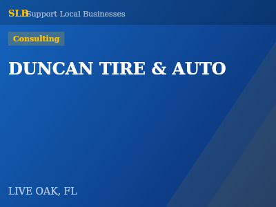 DUNCAN TIRE & AUTO — Consulting in LIVE OAK, FL