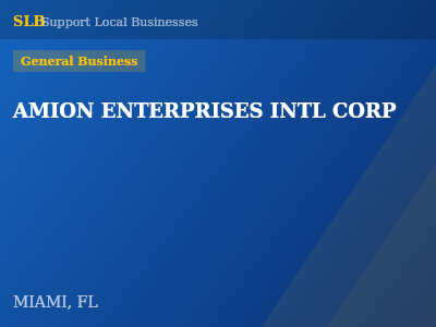 AMION ENTERPRISES INTL CORP — General Business in MIAMI, FL
