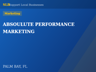 ABSOULUTE PERFORMANCE MARKETING — Marketing in PALM BAY, FL
