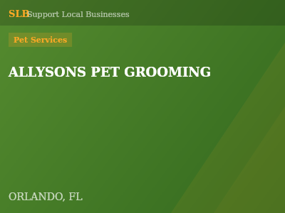ALLYSONS PET GROOMING — Pet Services in ORLANDO, FL